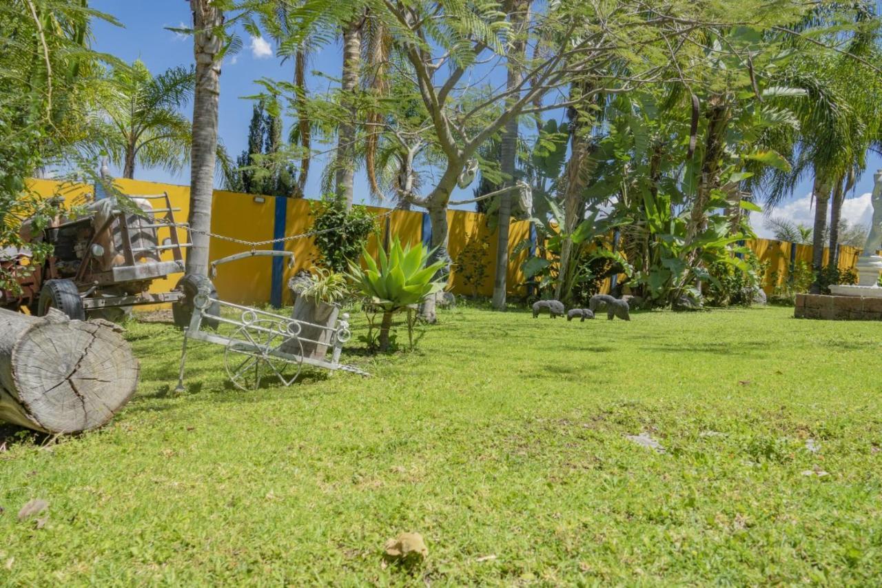 Hotel & Bungalows Las Palmas Villa Corona Exteriér fotografie